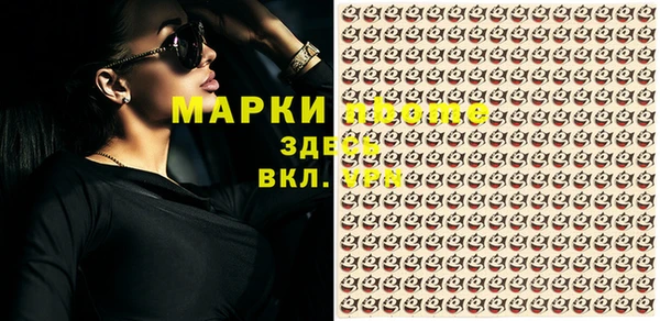 СК Инсар