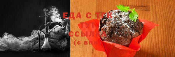 стаф Инта
