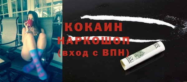 стаф Инта
