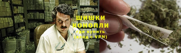 стаф Инта