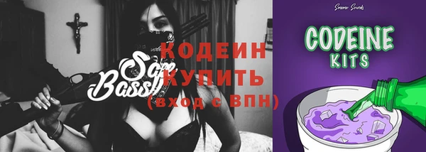 стаф Инта