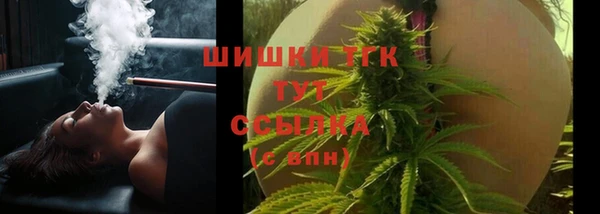 СК Инсар