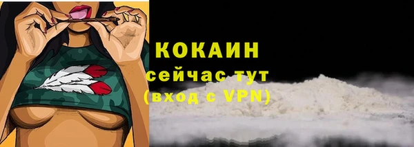 стаф Инта