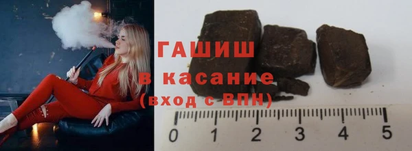 стаф Инта