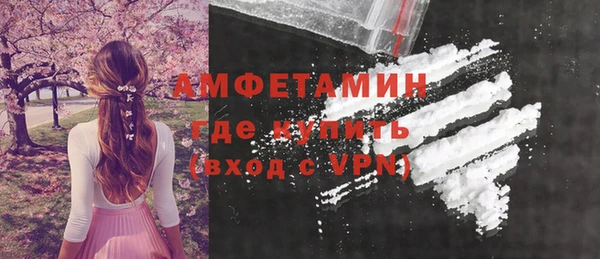 стаф Инта