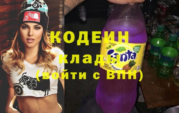 стаф Инта