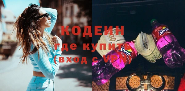 стаф Инта