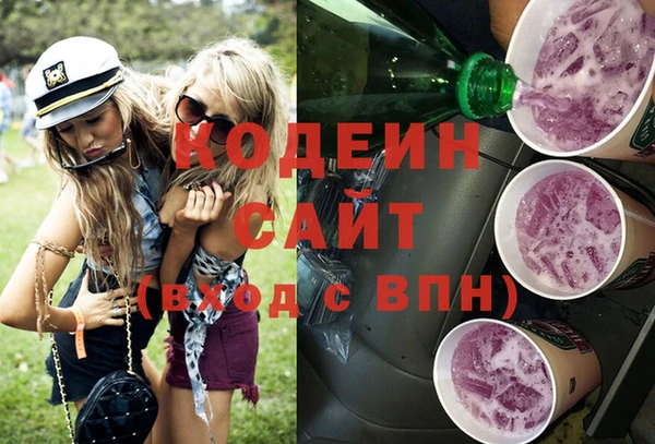 стаф Инта