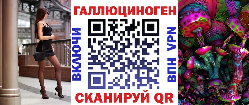 Купить закладки Каменногорск Псилоцибиновые грибы мицелий
