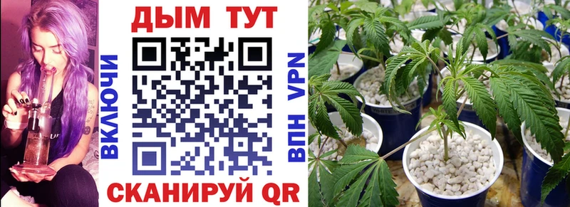 Бошки марихуана Ganja  Купить  Каменногорск 
